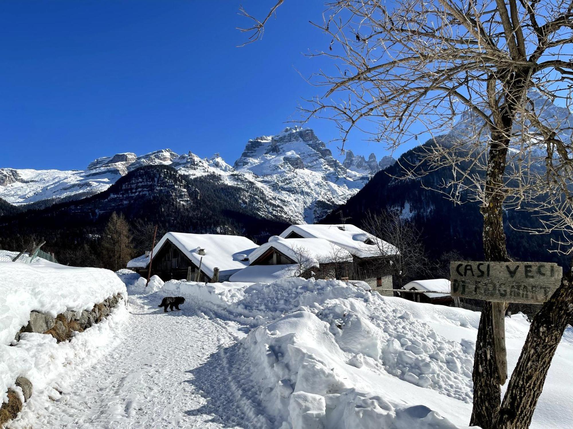 Villa Alpina Campiglio Madonna Exterior foto