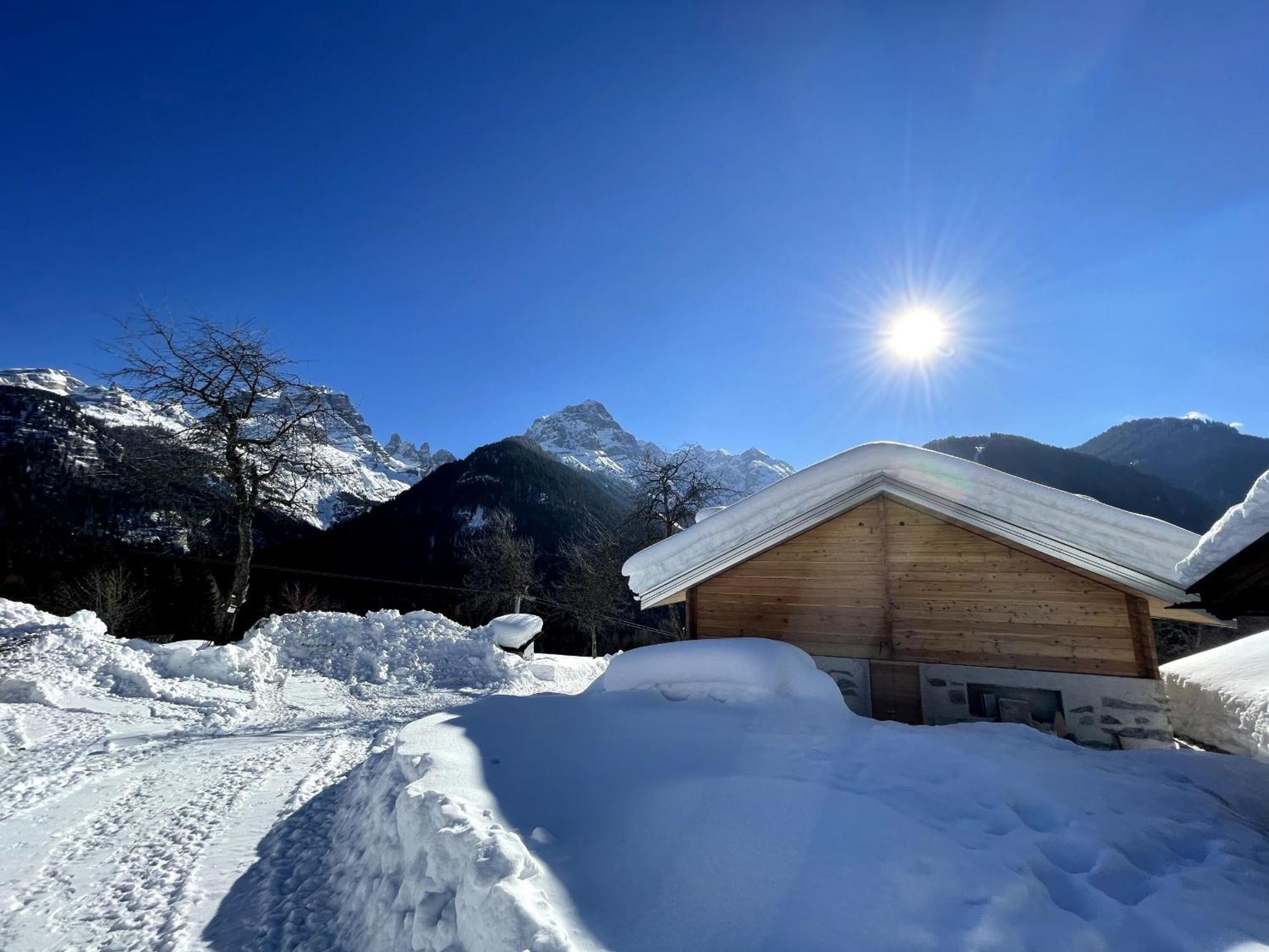 Villa Alpina Campiglio Madonna Exterior foto