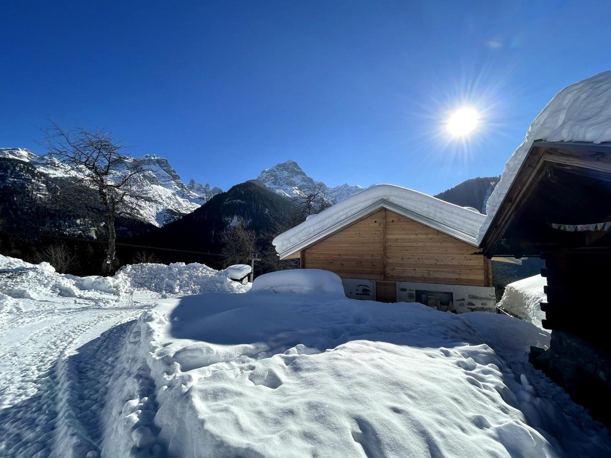 Villa Alpina Campiglio Madonna Exterior foto
